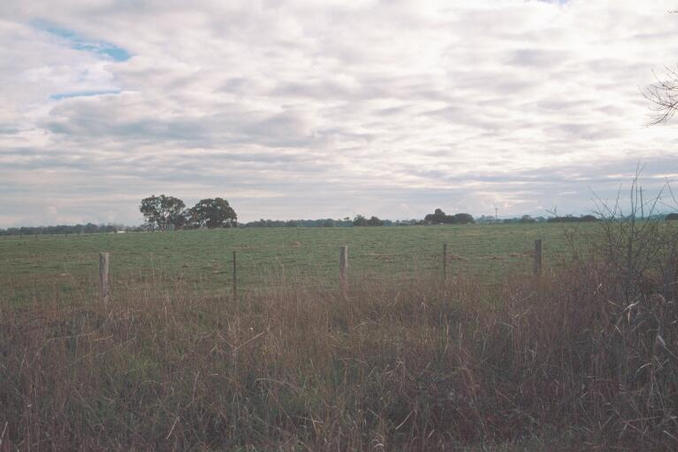 View west from the road, across the paddock.