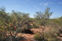 #4: Standing on confluence - view to the east along dune