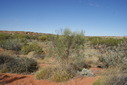 #5: Standing on confluence - view to the south across claypan