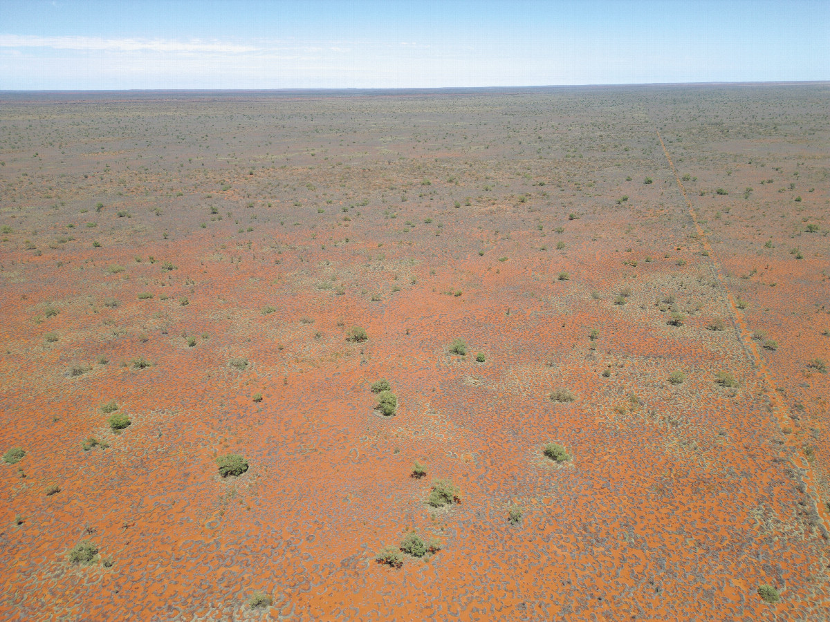 View West, from 120m above the point