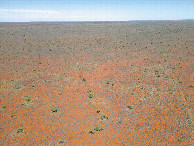 #11: View West, from 120m above the point