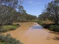 #7: The flooded creek