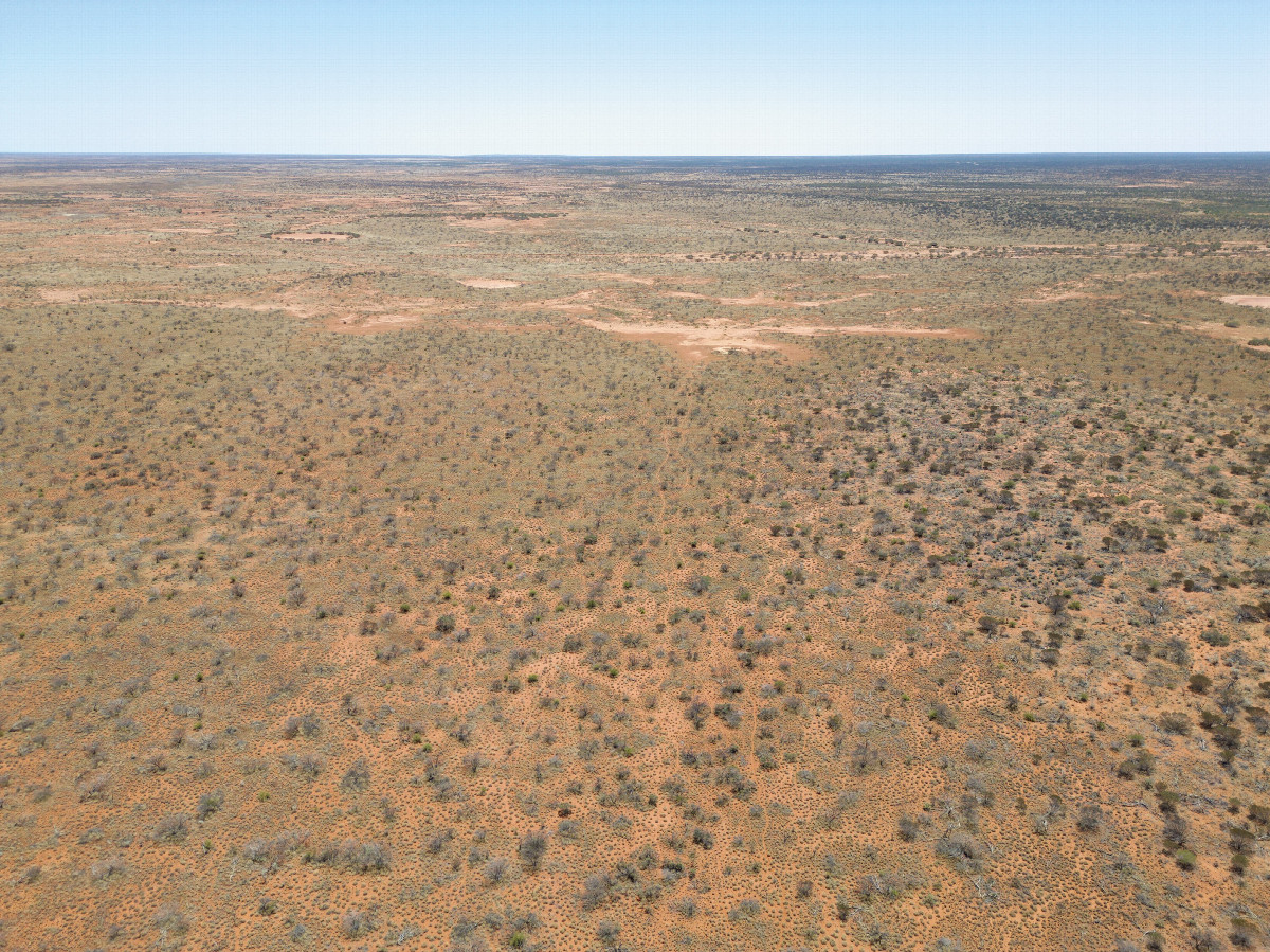 View North, from 120m above the point