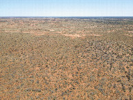 #8: View North, from 120m above the point