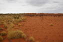 #9: Fire burn pattern, spinifex intact on the left, everything burnt of the right