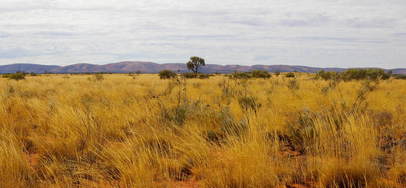 #1: General View of Confluence Area with the Rawlinson Ranges in the Background