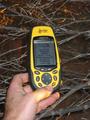 #6: Photo of GPS in the tree
