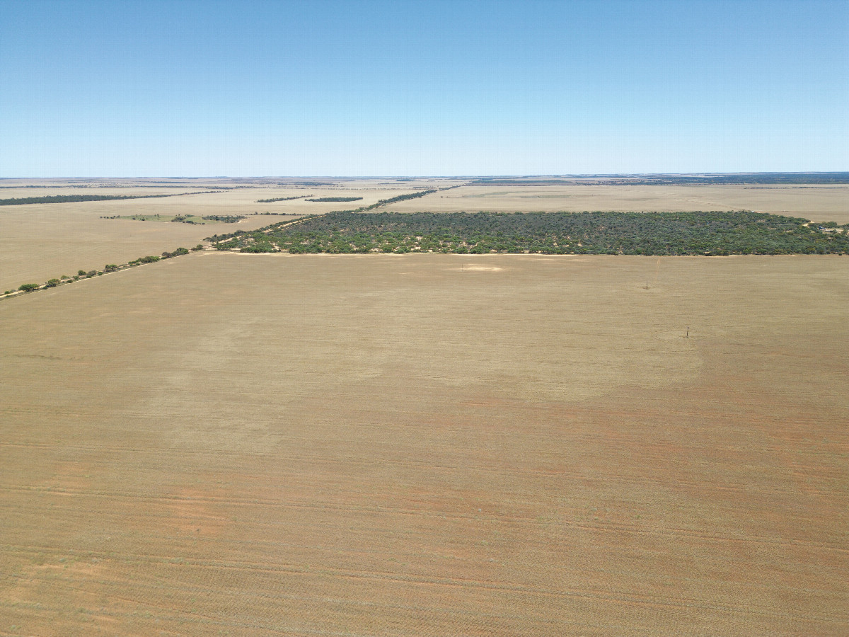 View West, from 120m above the point