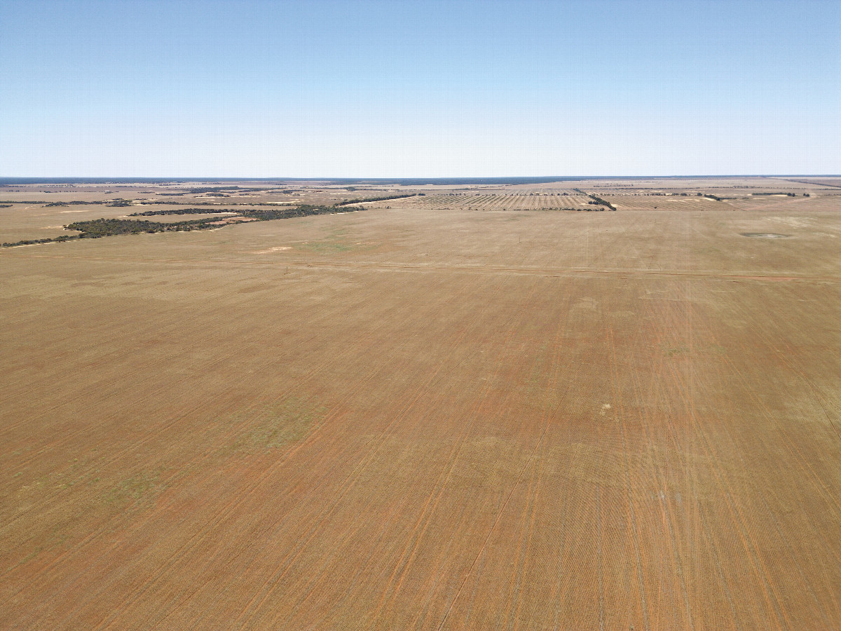 View North, from 120m above the point