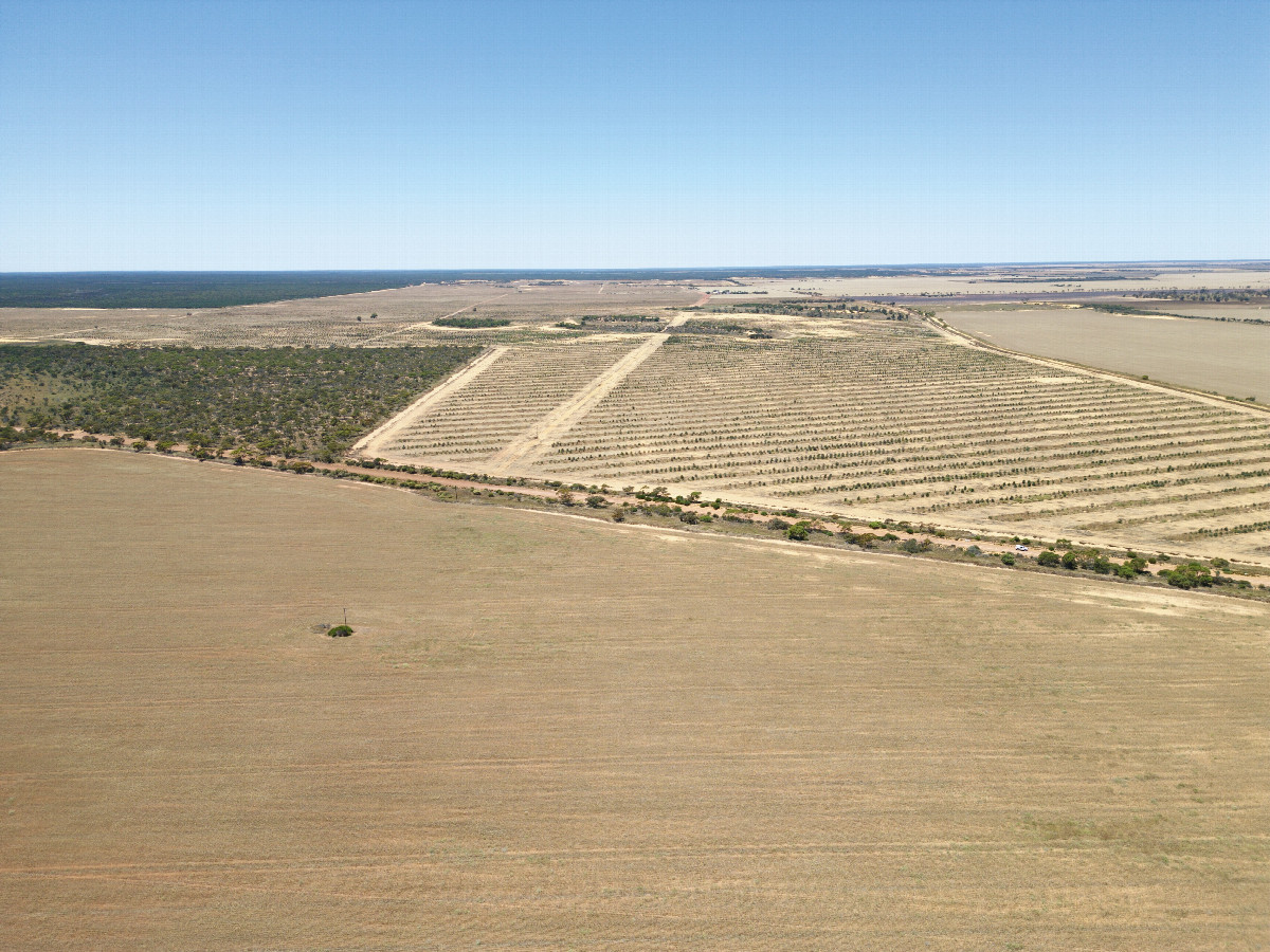 View East (across the road, 400m away) from a height of 120m