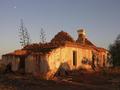 #7: Ruins of an abandoned homestead