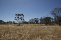 #2: View West (across the dry creek, to Northbourne Road)