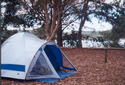 #8: My tent, right beside the Kalgan River.