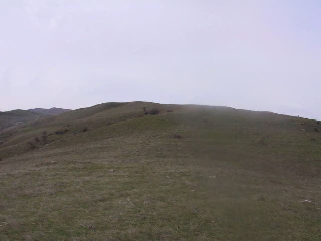 Looking uphill to the West