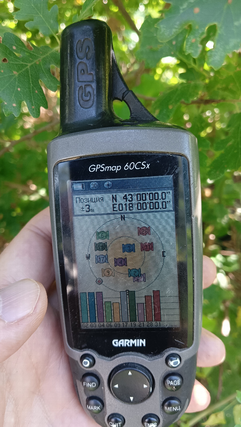 GPS reading