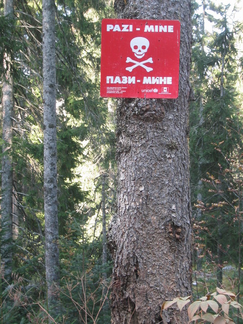 Finally made it into the forest where there were numerous signs about mines