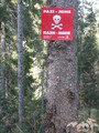 #5: Finally made it into the forest where there were numerous signs about mines