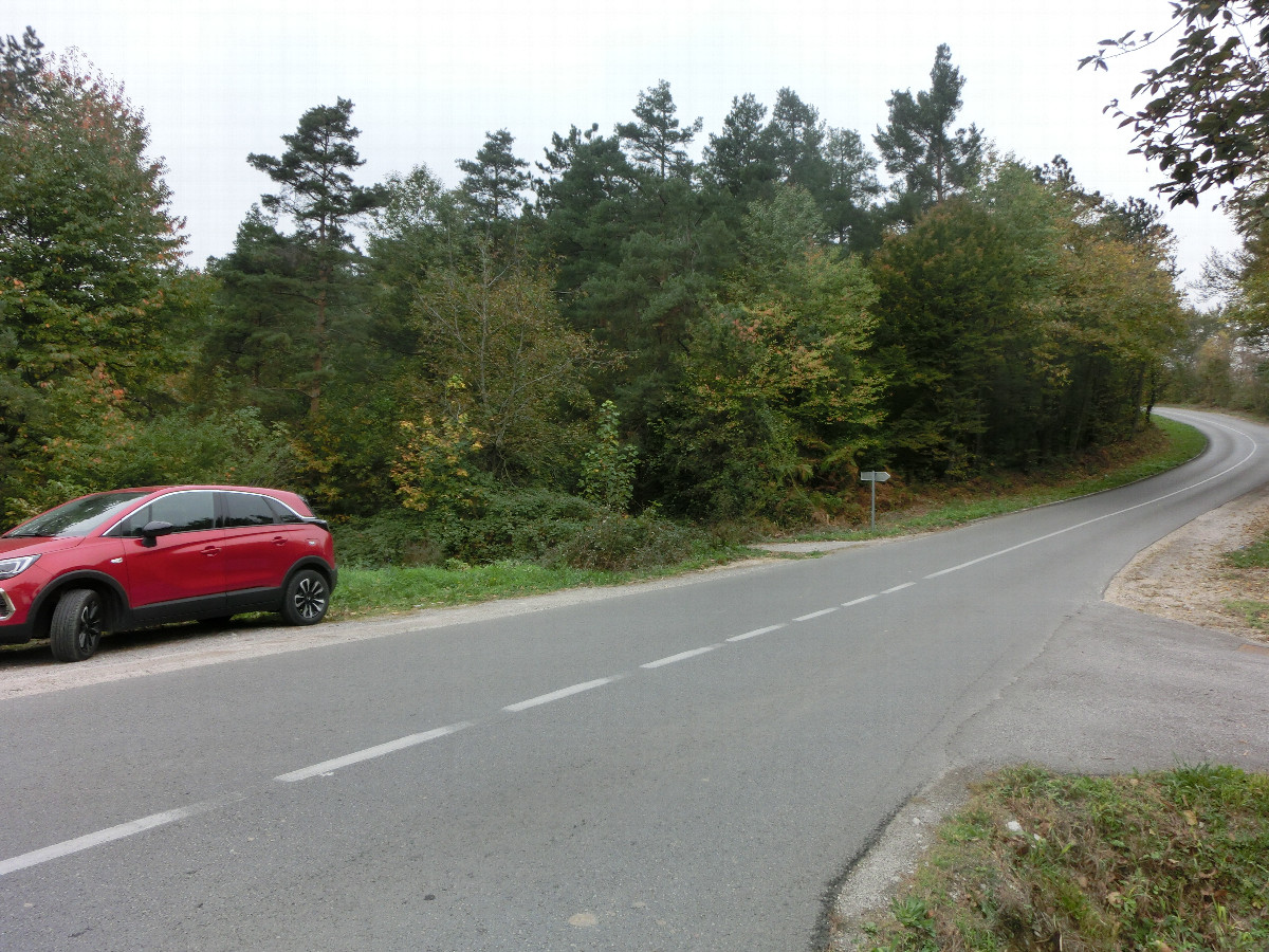 Geparktes Auto neben der Straße - Parked car next to the street