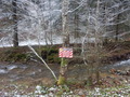 #9: 'Caution! Carrying out of forest works'