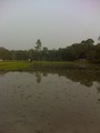 #2: Flooded paddy field view