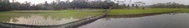 #3: Flooded paddy field landscape 