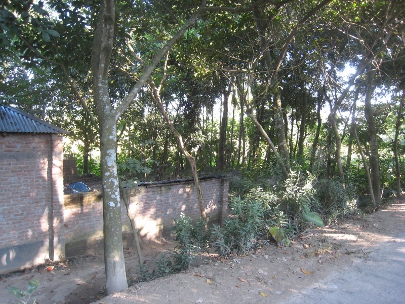 Area shown from the nearby road