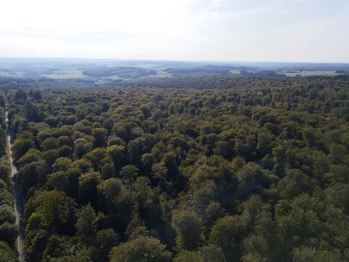 View West, from 90m above the point