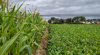 #2: view to the north