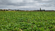 #3: view to the east