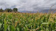 #5: view to the west