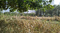 #3: view to the east
