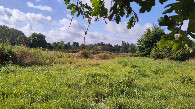 #4: view to the south