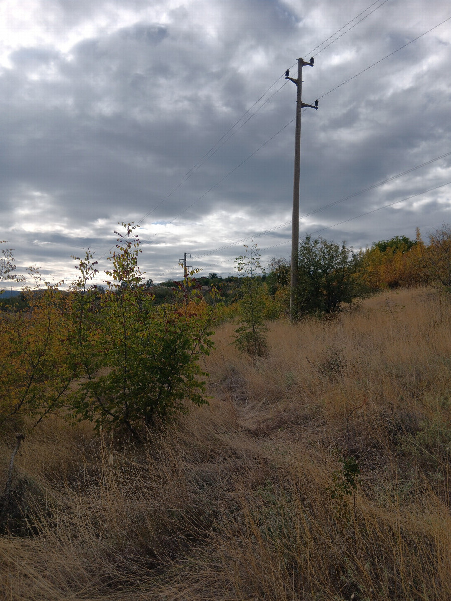 West