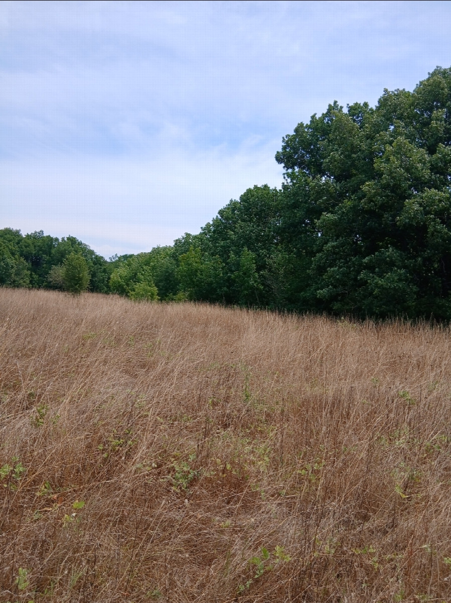 South 