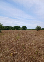 #3: North
