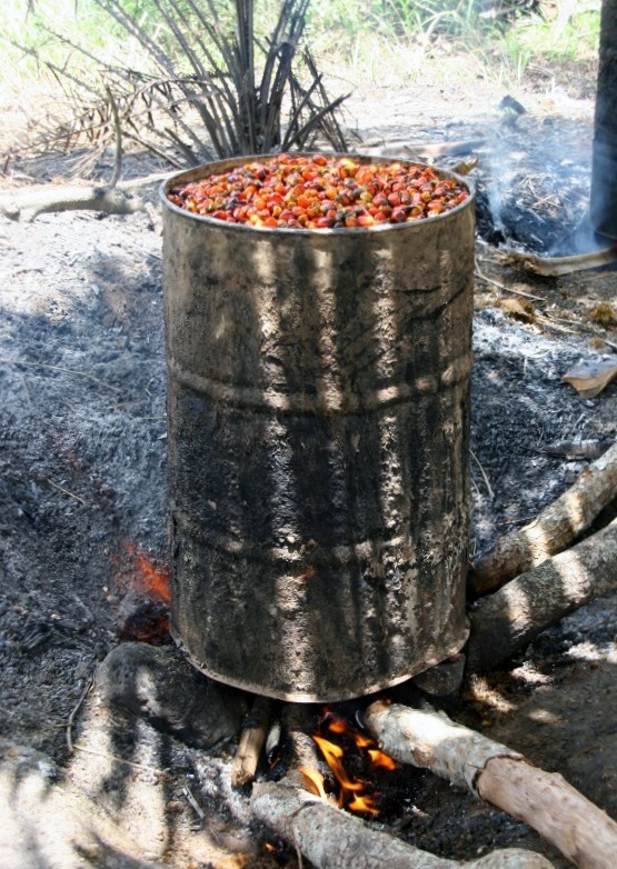 Cooking the fruits of the oil palm trees