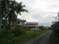 #3: Road nearest to the confluence (110m)
