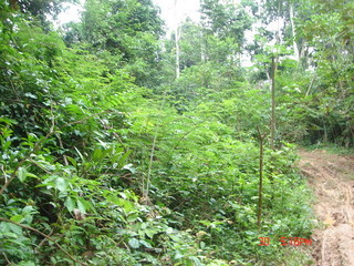 #1: THE CONFLUENCE POINT IS IN THE JUNGLE