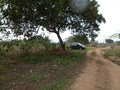 #7: Parei o carro a 207 metros da confluência - car stopped 207 meters to the confluence