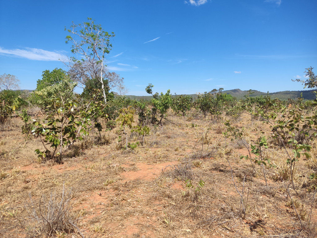 Caminhada até a confluência - hiking to the confluence