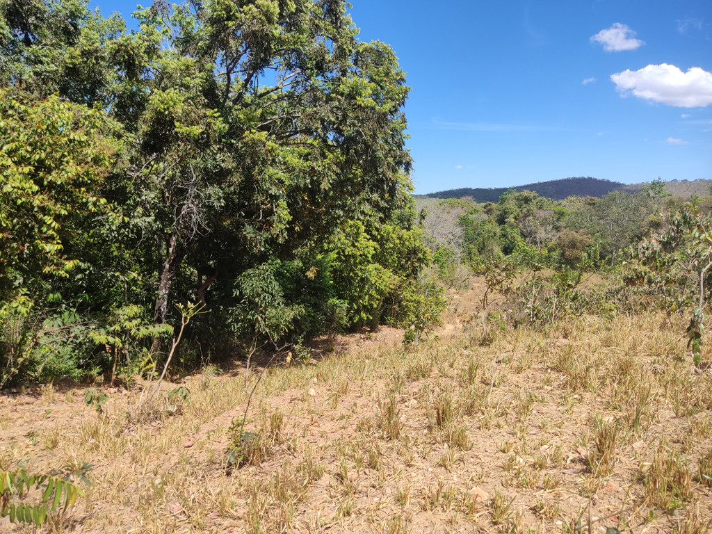 Visão geral - general view