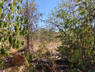 #3: Visão norte - north view