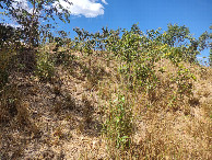 #5: Visão sul - south view