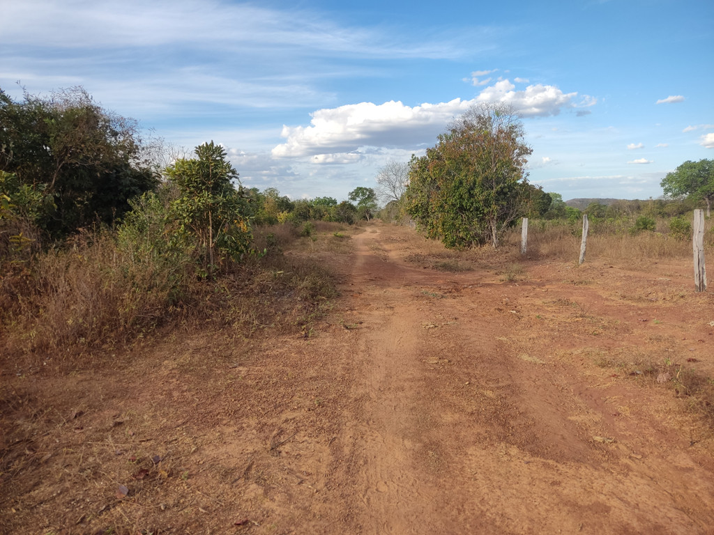 Caminhada até a confluência - hiking to the confluence