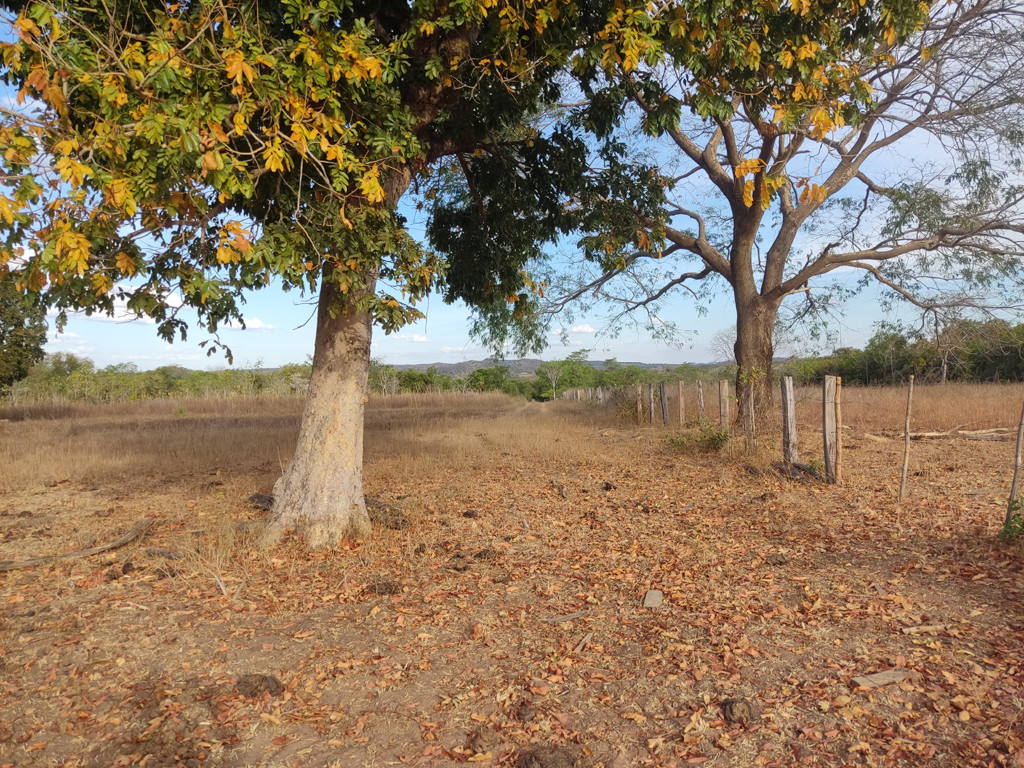 Caminhada até a confluência - hiking to the confluence