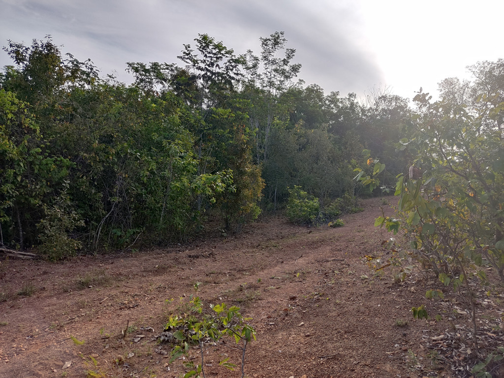 Visão oeste - west view