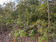 #3: Visão norte - north view