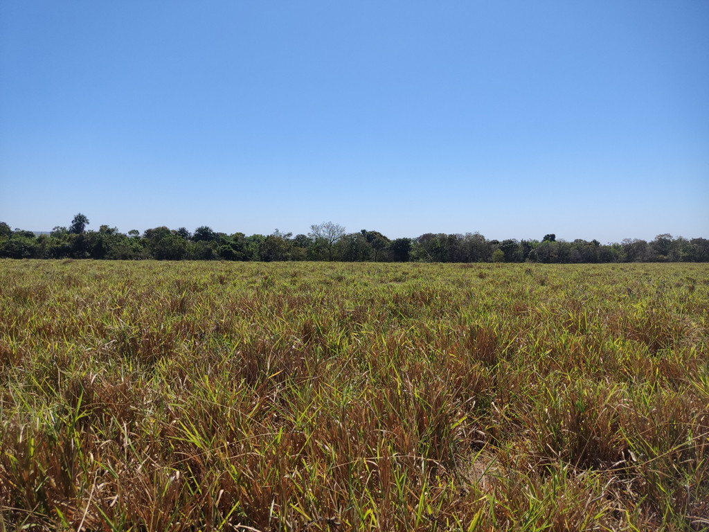 Visão geral - general view