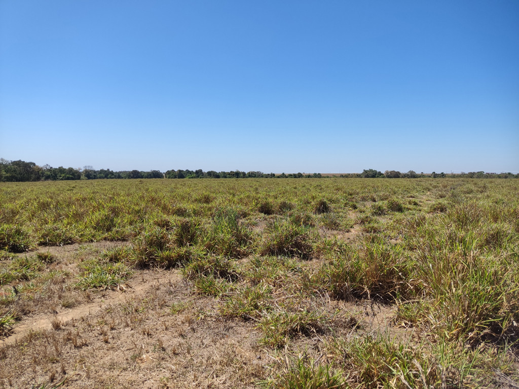 Visão leste - east view