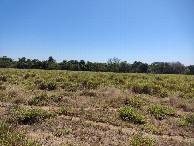 #3: Visão norte - north view